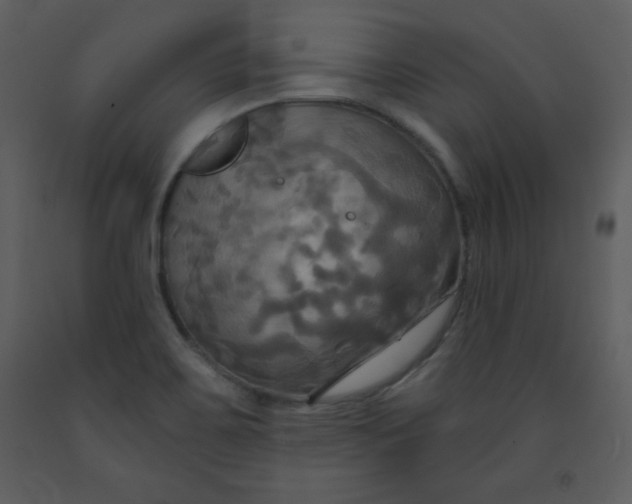 X0000093251467200710171414