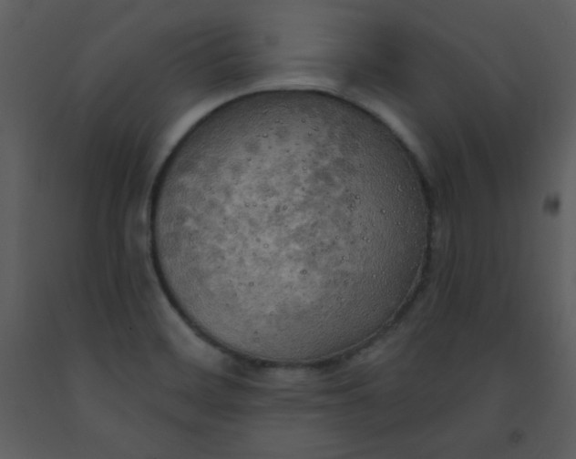 X0000093251468200710171414