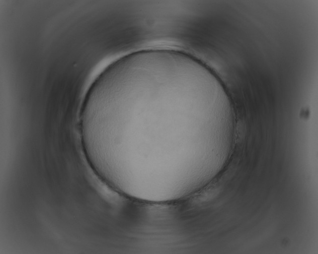 X0000093251470200710171414