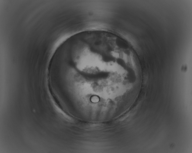 X0000093251471200710171414