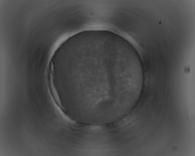 X0000093251472200710171414