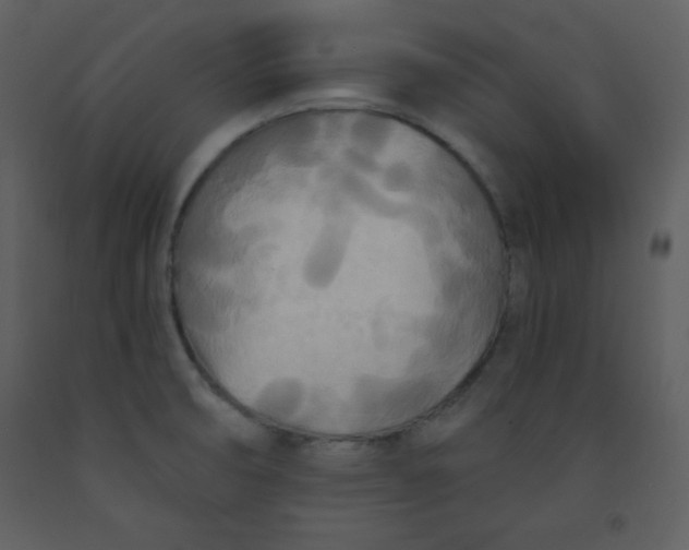 X0000093251474200710171414