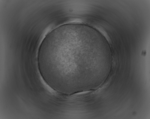 X0000093251475200710171414