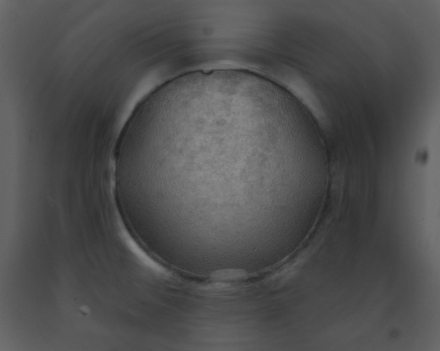 X0000093251476200710171414