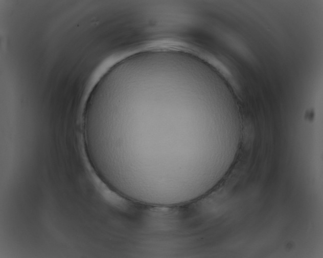 X0000093251478200710171414