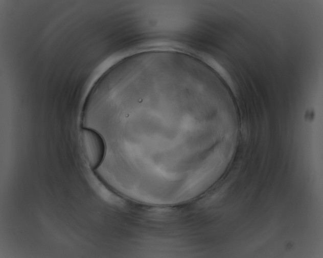 X0000093251482200710171414