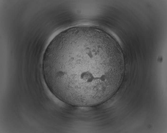 X0000093251483200710171414