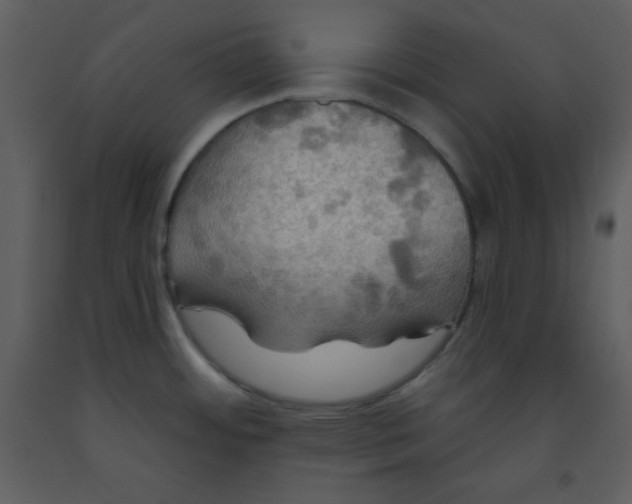 X0000093251484200710171414