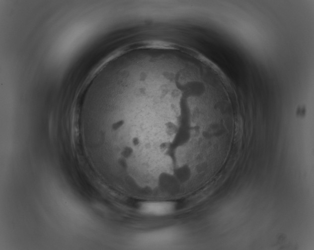 X0000093251487200710171414