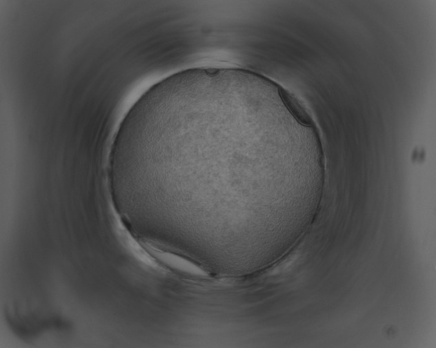 X0000093251488200710171414