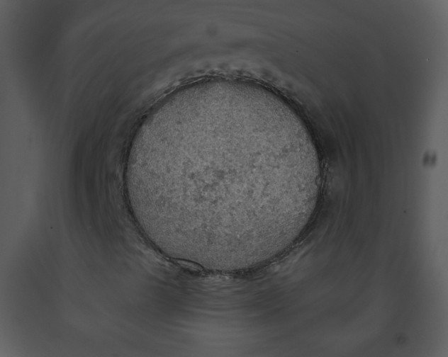 X0000093251489200710171413