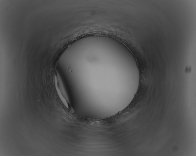 X0000093251490200710171413