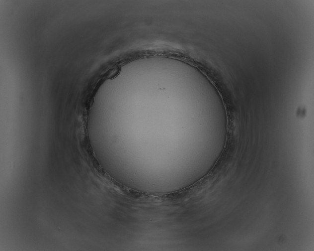 X0000093251493200710171413