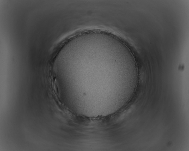 X0000093251494200710171413