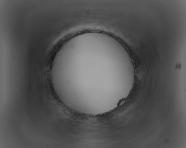 X0000093251495200710171413