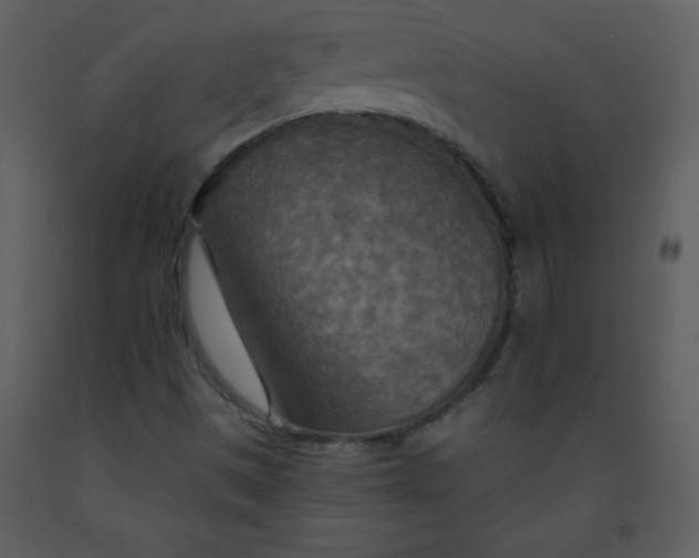 X0000093251497200710171413