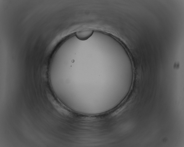 X0000093251499200710171413