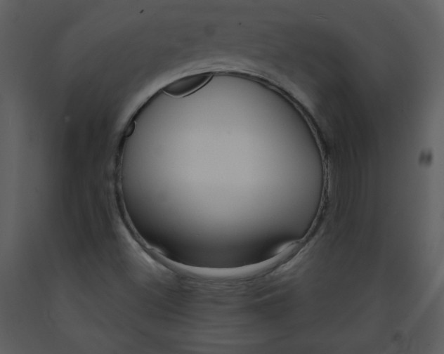 X0000093251500200710171413