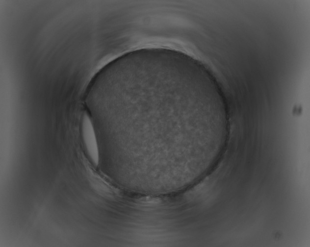 X0000093251505200710171413