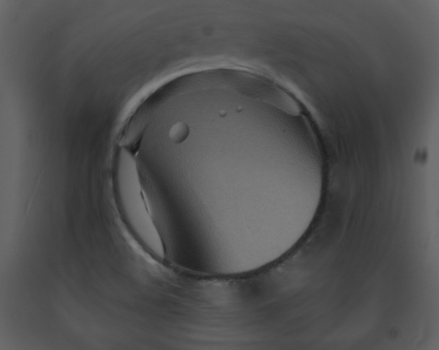 X0000093251508200710171413