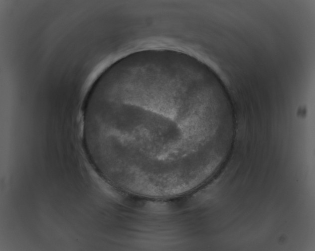 X0000093251509200710171413