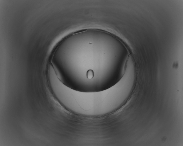 X0000093251510200710171413