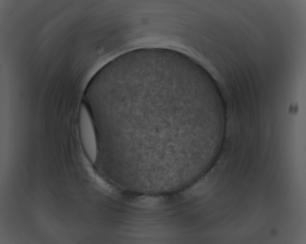 X0000093251513200710171413