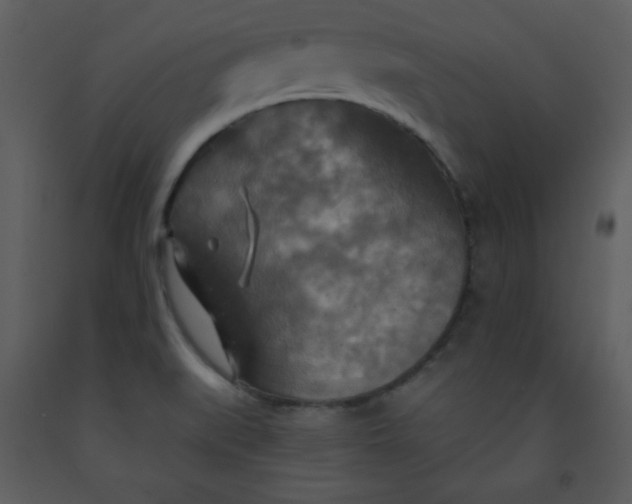 X0000093251519200710171413