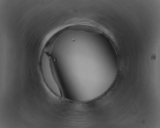 X0000093251520200710171413