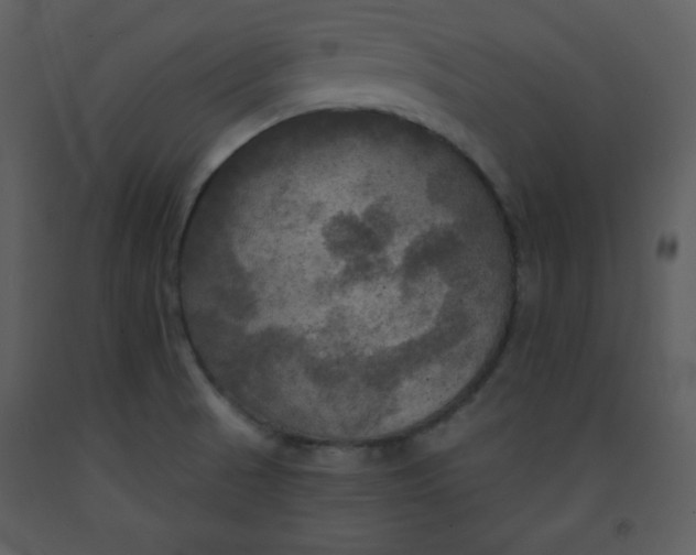 X0000093251521200710171413