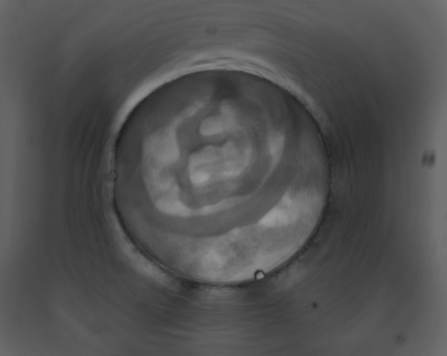 X0000093251522200710171413