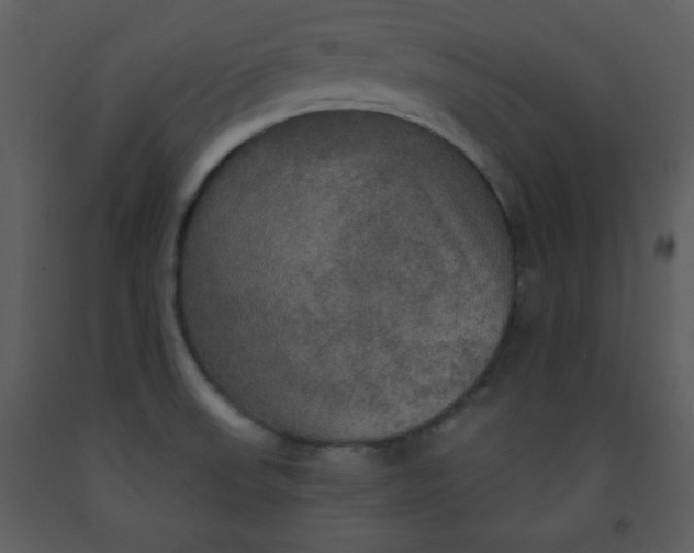 X0000093251523200710171413