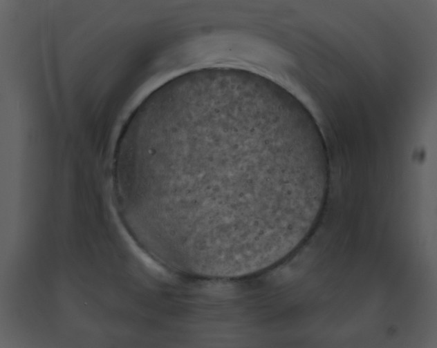 X0000093251525200710171413