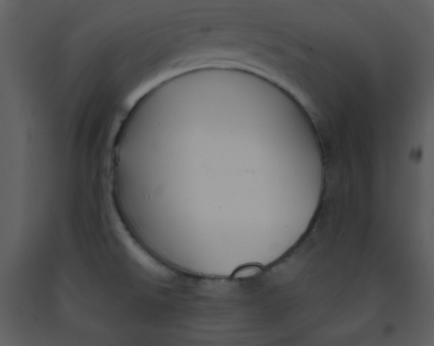 X0000093251526200710171413