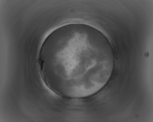 X0000093251527200710171413