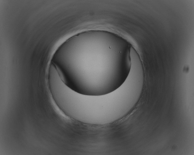 X0000093251528200710171413