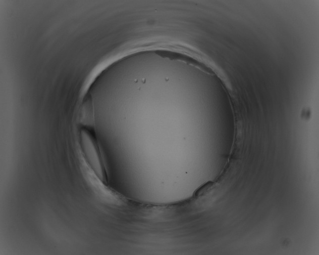 X0000093251530200710171414