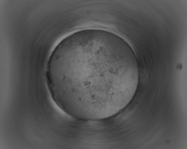 X0000093251531200710171414