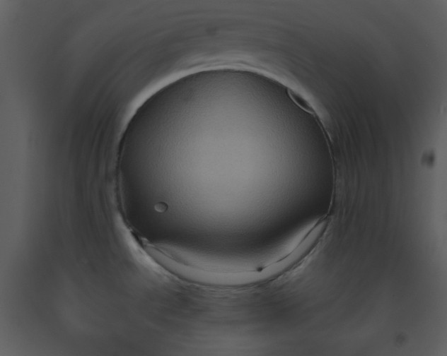 X0000093251534200710171414