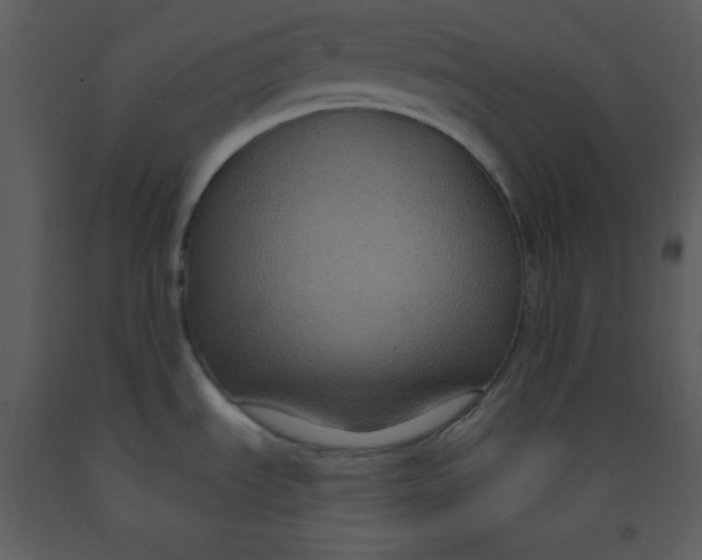 X0000093251535200710171414