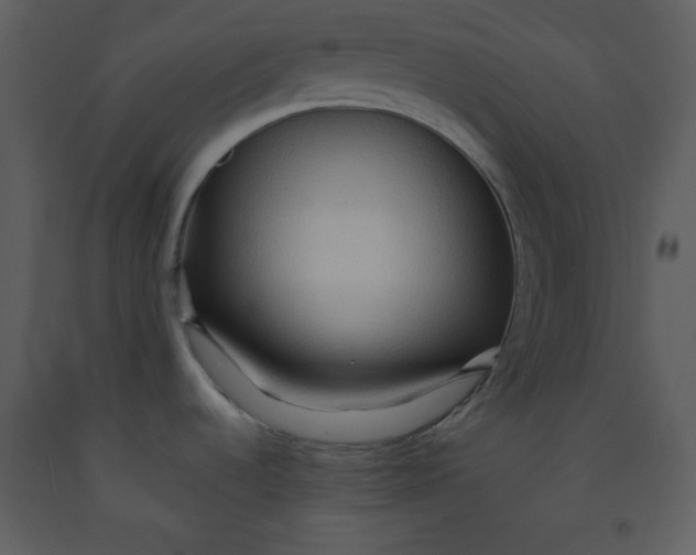 X0000093251536200710171414