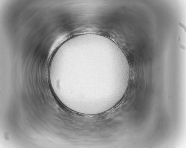 X0000093250004200710241323