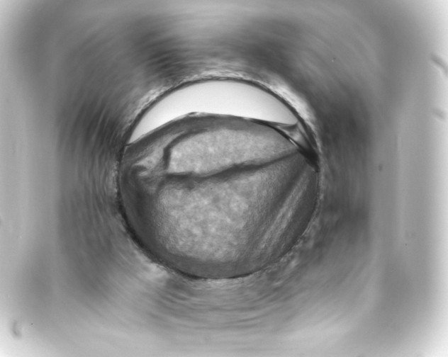 X0000093250009200710241323