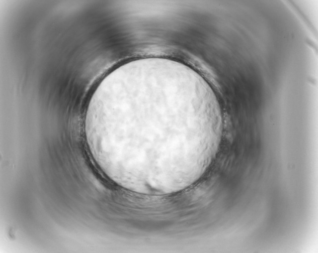 X0000093250012200710241323