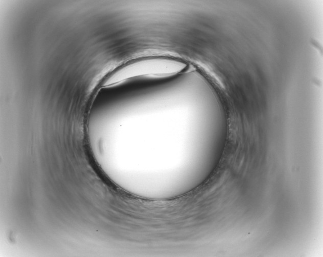 X0000093250015200710241323