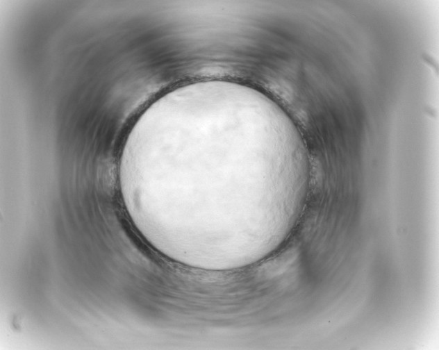 X0000093250016200710241323