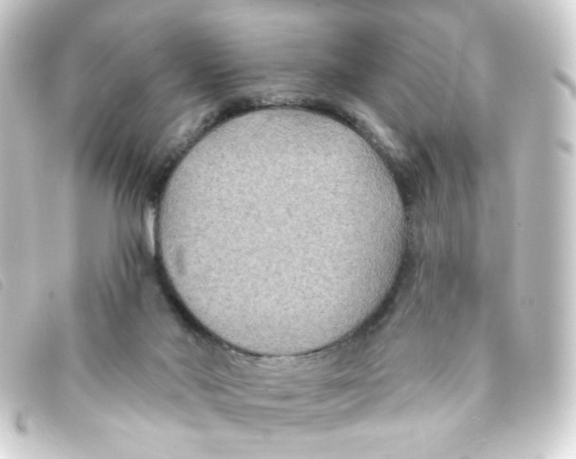 X0000093250022200710241323