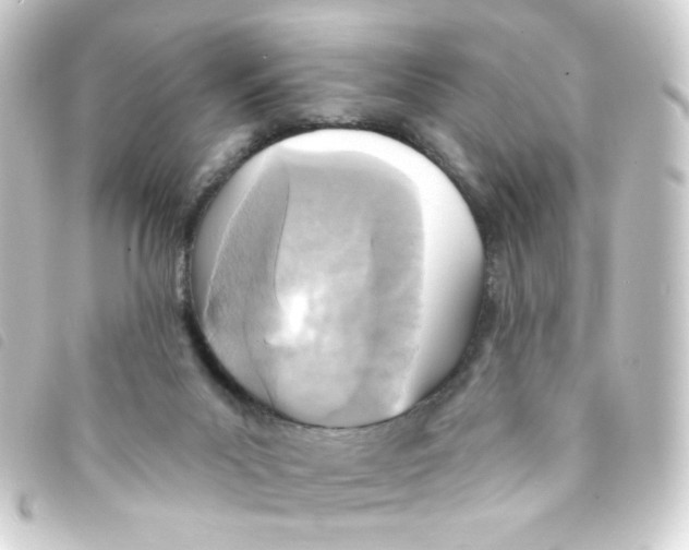 X0000093250023200710241323