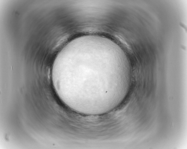 X0000093250024200710241323