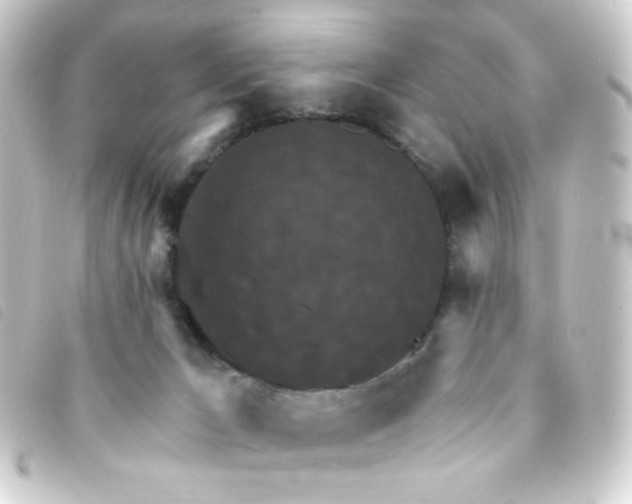X0000093250029200710241322